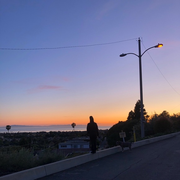 Meet the posher🥰 - Picture 4 of 9